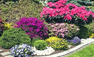 Giardino - Giardinaggio