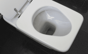 Gabinetto - Sedile del water