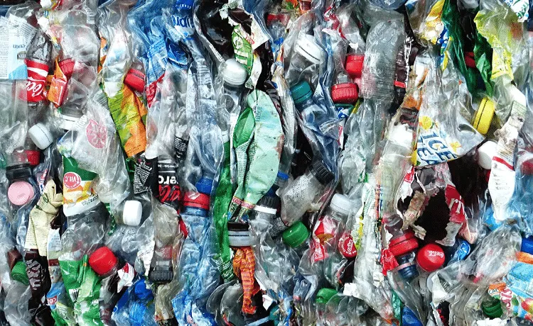 Raccolta differenziata - Plastica