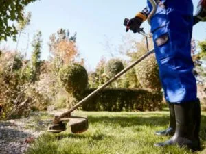 Taglio erba