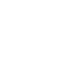 Certificazioni 100mani
