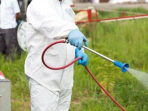controllo vettori dengue
