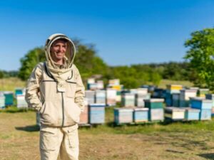 disinfestazione api