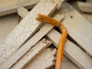 disinfestazione tarli roma