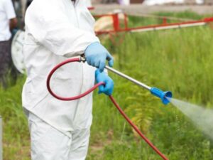 disinfestazione zanzare tigre