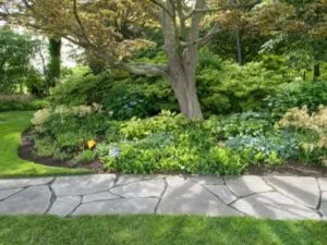 giardino ornamentale